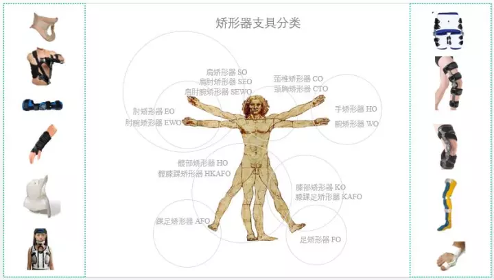 矫形器的定义与功能